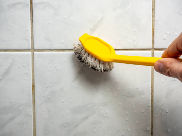 Best DIY Mold Remediation Support Services in Sandy Oaks, TX