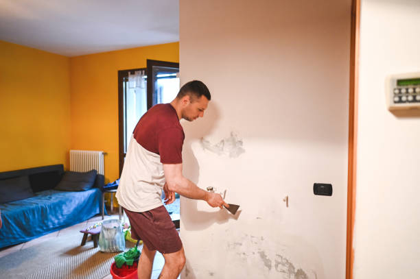 Best Residential Mold Remediation in Sandy Oaks, TX